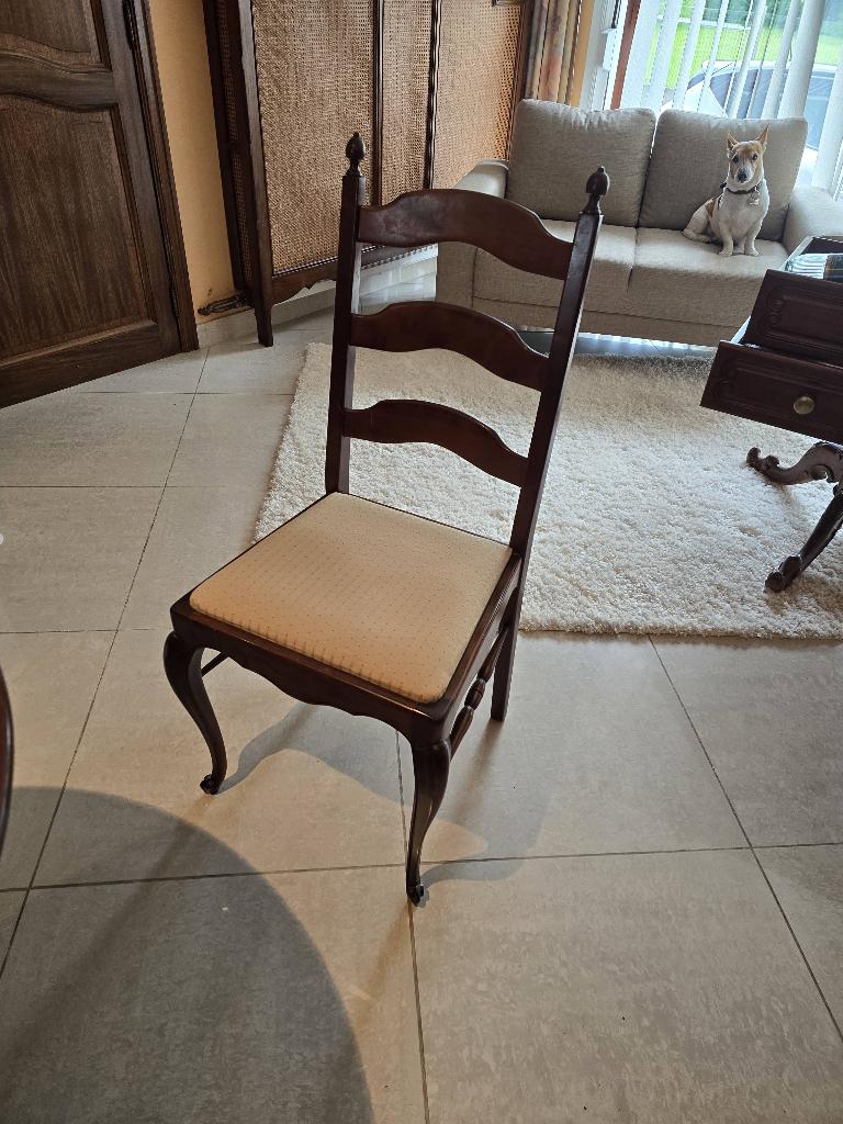 Eetkamer, Ophalen, Zo goed als nieuw, Louis xv, 6 tot 8 stoelen