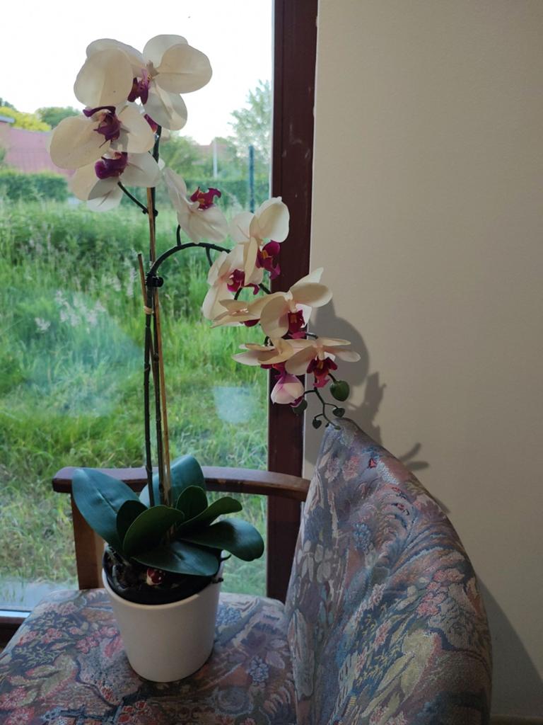 Orchidee kunststof, Huis en Inrichting, Woonaccessoires | Kunstplanten en Kunstbloemen, Kunststof, Ophalen