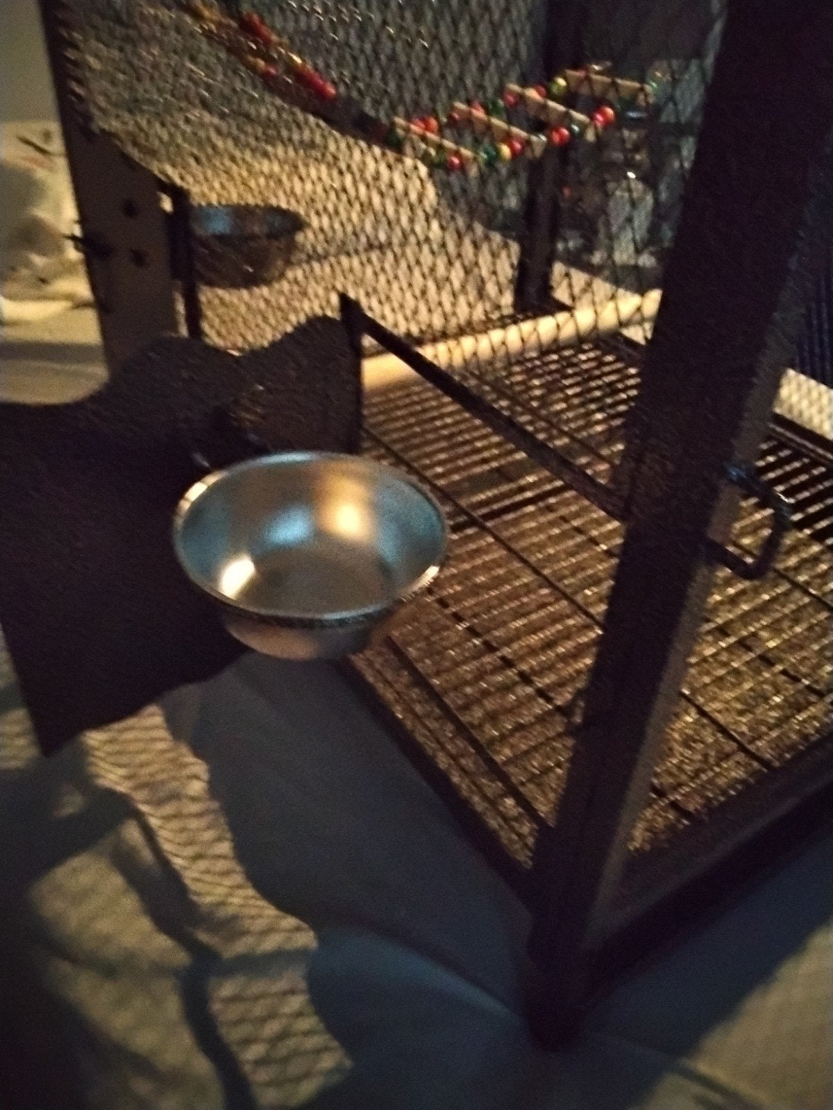 cage à oiseaux ou cage à perroquets, Animaux & Accessoires, Enlèvement, Neuf, Métal, Cage à oiseaux
