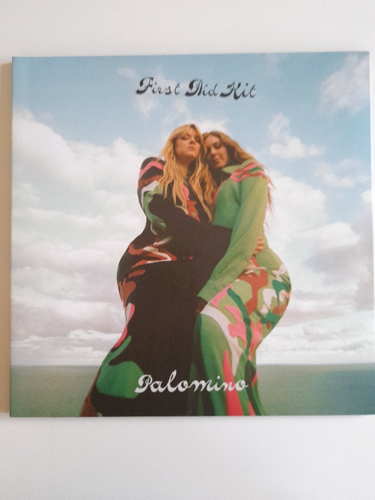 First Aid Kit, Cd's en Dvd's, LP, Ophalen of Verzenden, Zo goed als nieuw, Beschermende buitenhoes