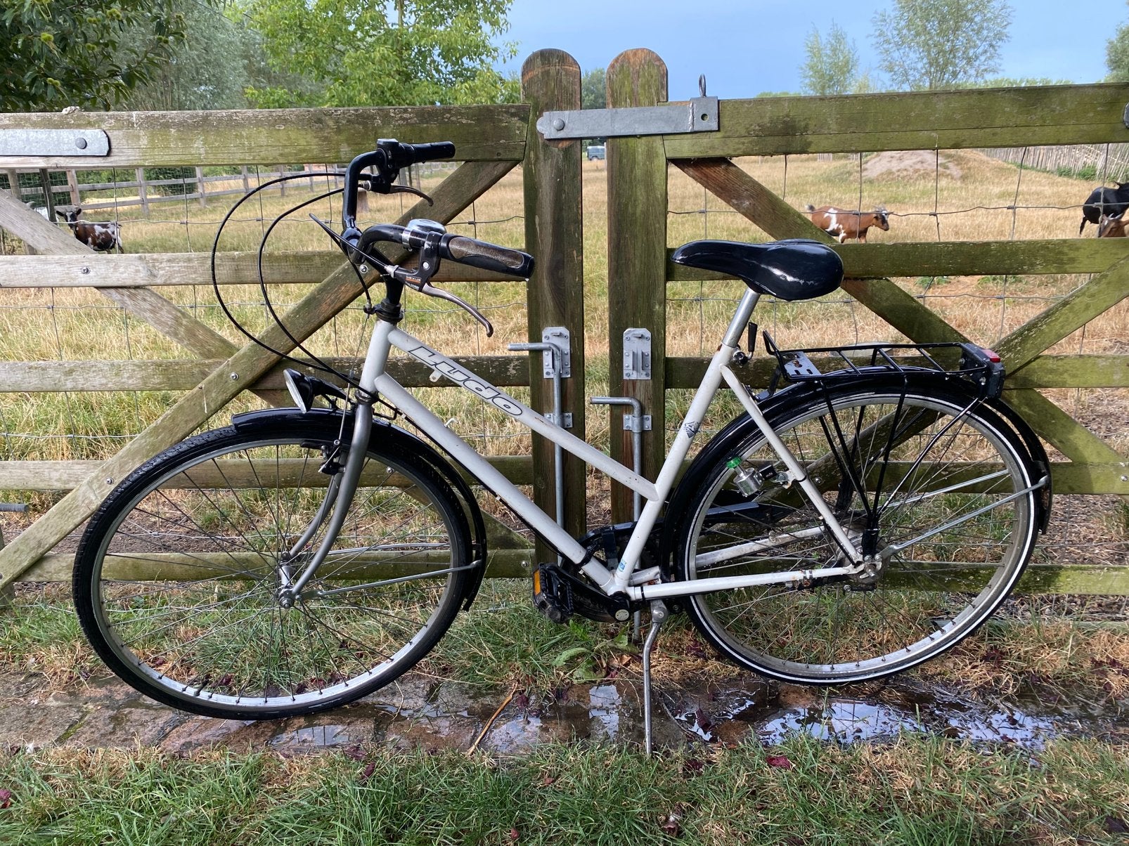 Damesfiets Ludo, Fietsen en Brommers, Ophalen, Gebruikt, Velgrem