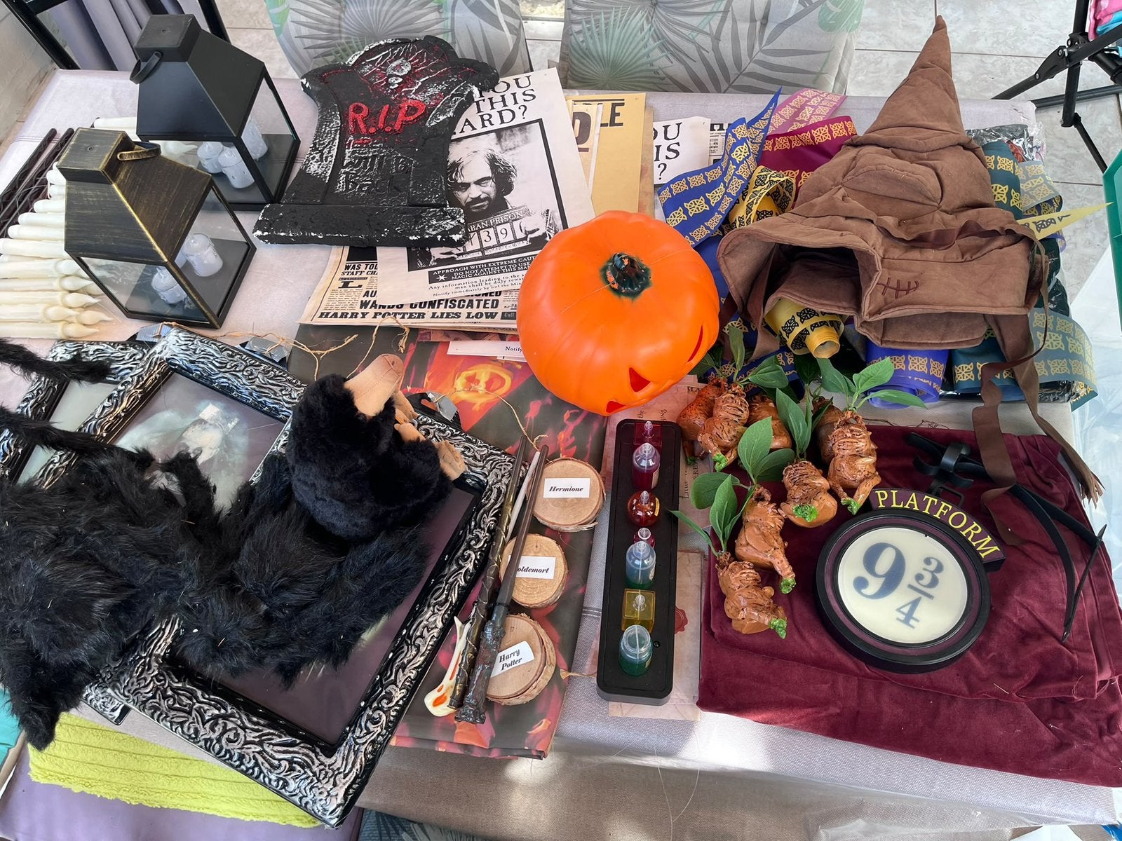KIT COMPLET – THÈME HARRY POTTER, Enlèvement, Comme neuf
