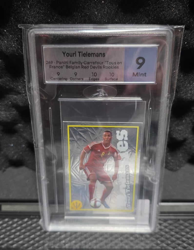 Youri Tielemans+Euro 2016+Panini+Rookie Tielemans, Ophalen of Verzenden, Zo goed als nieuw, Poster, Plaatje of Sticker