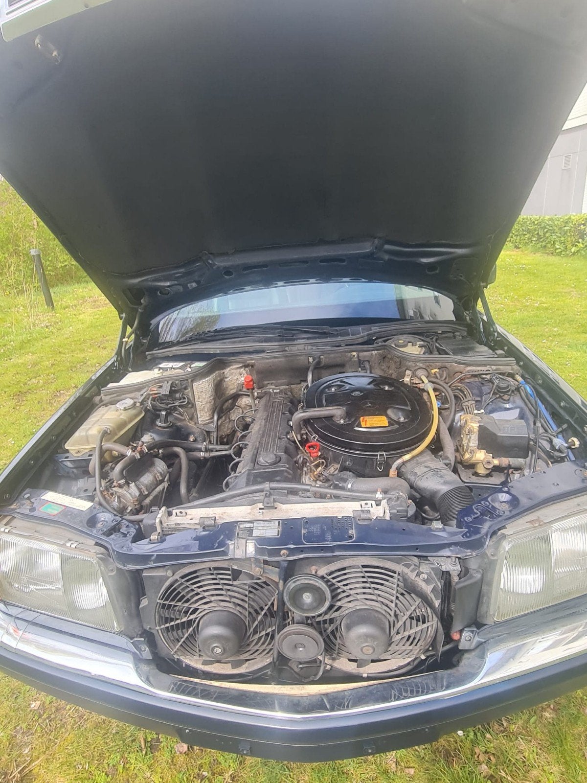 Mercedes SE 300 laatste producer jaar , oldtimer, foto 12