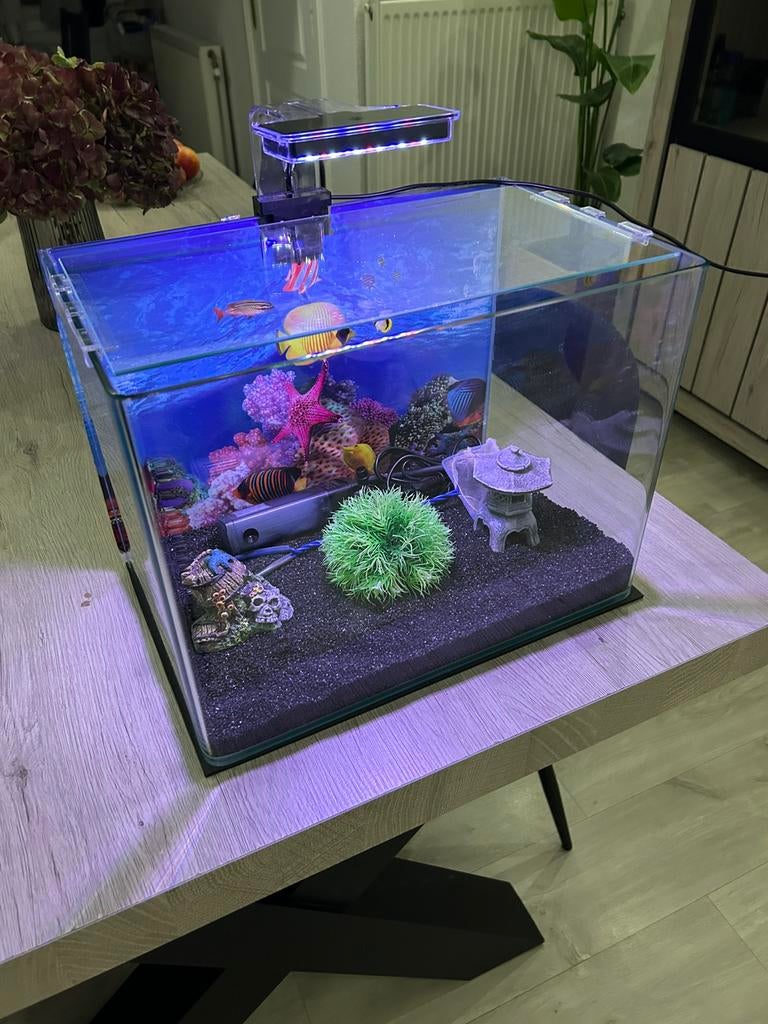 Aquarium, Enlèvement, Comme neuf, Decoratie