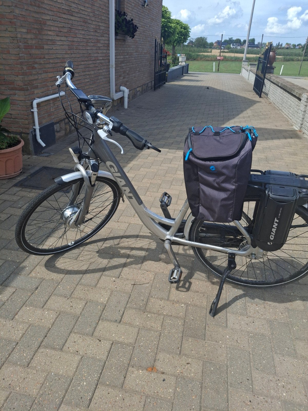 Electriche fiets, Fietsen en Brommers, Ophalen, Giant