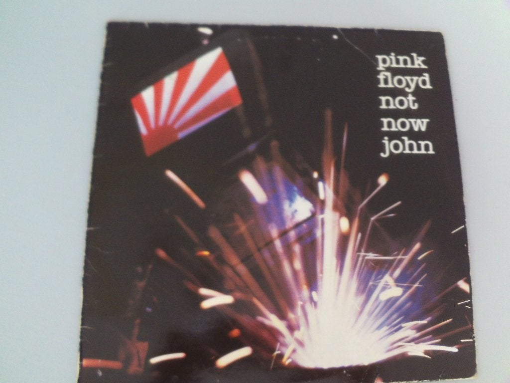 Pink Floyd – Not Now John, LP, Gebruikt, 12 inch, Beschermende buitenhoes