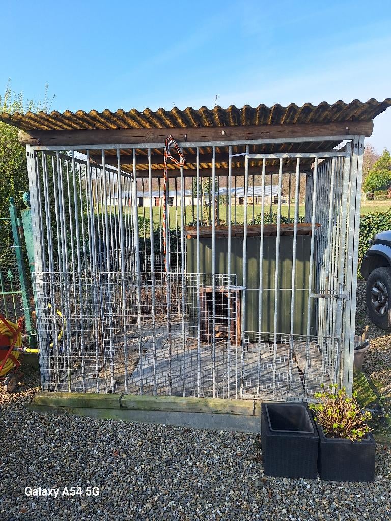 hondenren, Dieren en Toebehoren, Hondenhokken, Ophalen, Hondenkennel, 100 cm of meer, 110 cm of meer
