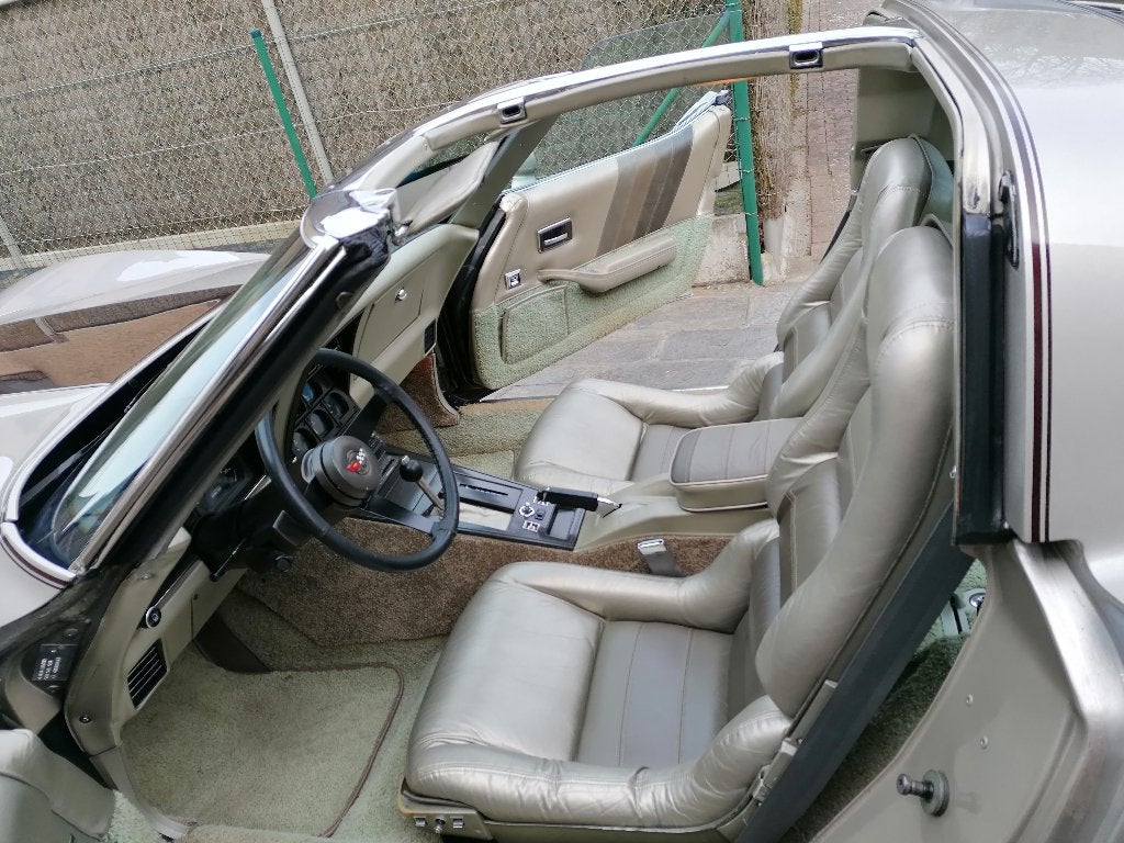 Corvette 1982 Collector Edition, foto 11