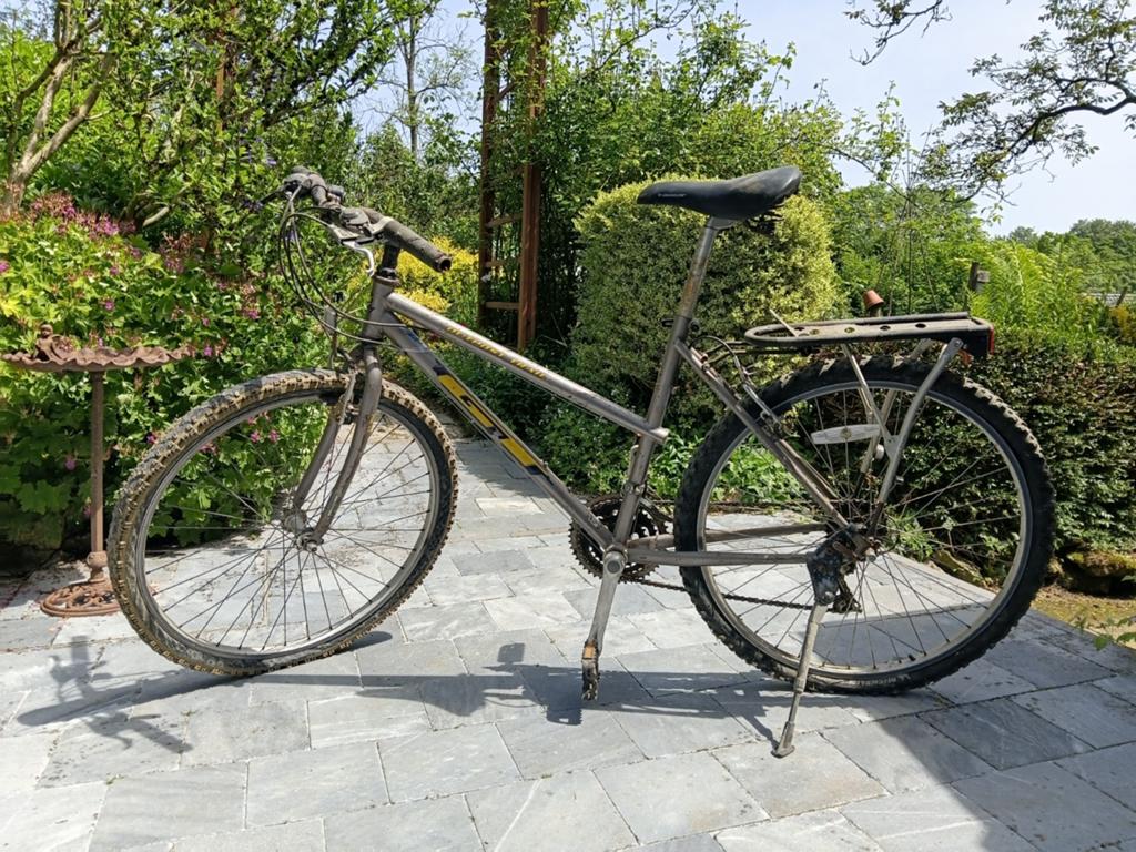 Vélo dame, Vélos & Vélomoteurs, 26 pouces, Frein sur jante, Enlèvement, Utilisé
