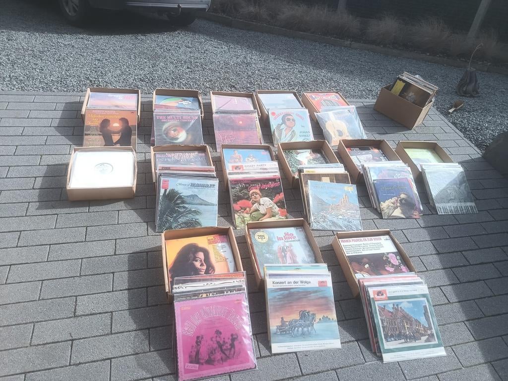 Lot de 450 assiettes
la plupart jamais retournés dans un boî, Enlèvement
