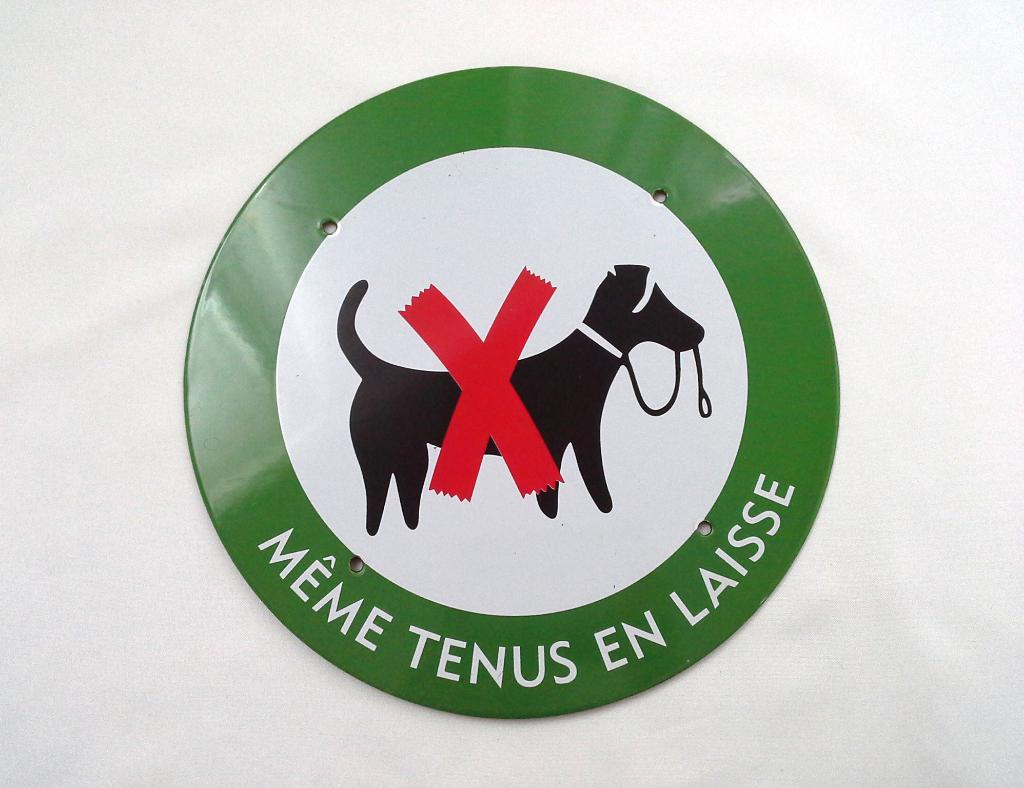 Panneau plaque émaillée interdit aux chiens Paris vintage, Antiquités & Art, Antiquités | Email, Enlèvement
