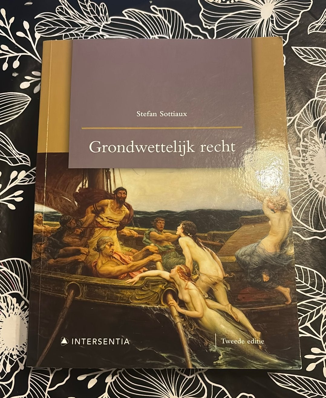 Stefan Sottiaux - Grondwettelijk recht (tweede editie), Ophalen of Verzenden, Stefan Sottiaux