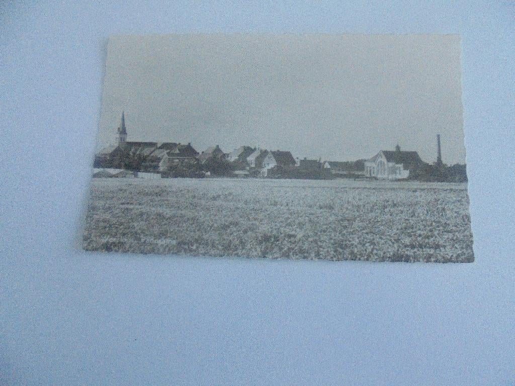 waarloos - panorama, Verzamelen, Verzenden, 1960 tot 1980, Gelopen, Antwerpen