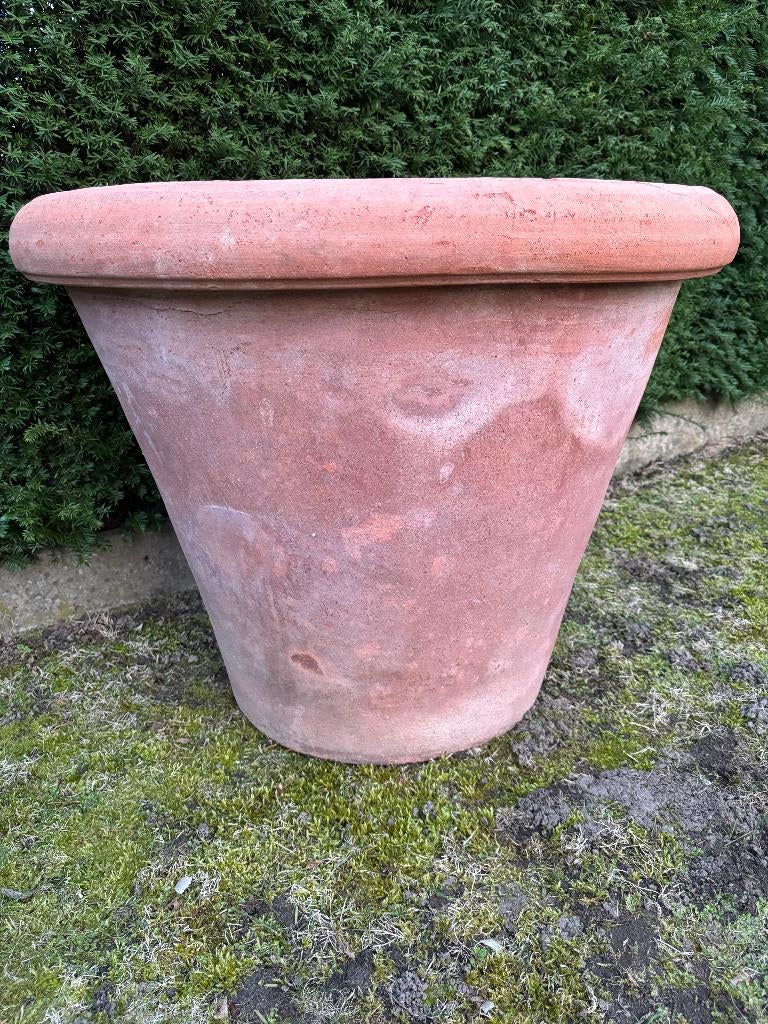 Hele Grote Ugo Poggi Impruneta Terracotta Bloempot, Ophalen, Gebruikt, 40 cm of meer, Rond