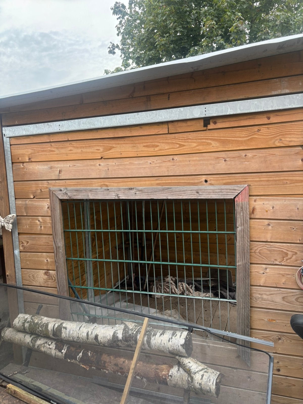 Hondenhok met kennel, Ophalen, Zo goed als nieuw, Hondenhok