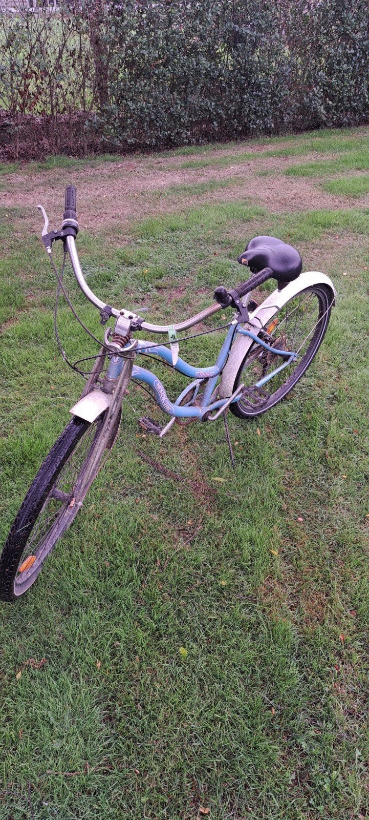 blauwe damesfiets, Ophalen