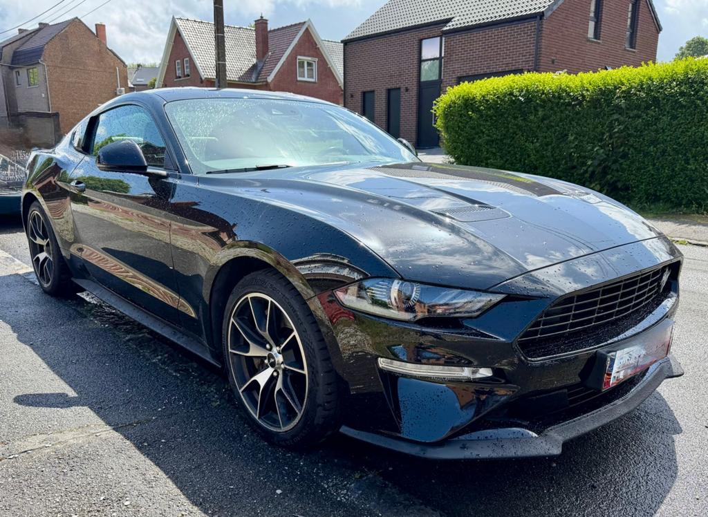Ford Mustang 2021  43.000km 2.3i   291ch  tva21%  carnet, Auto's, Ford, Bedrijf, Te koop, Mustang, ABS, Achteruitrijcamera, Adaptive Cruise Control