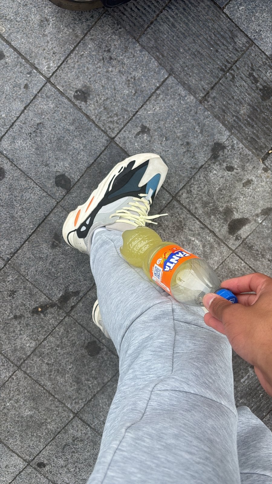 Yeezy 700 v2, Dieren en Toebehoren