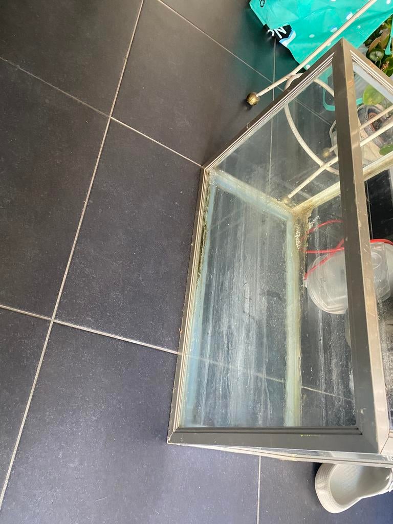 Terrarium, Huis en Inrichting, Woonaccessoires | Spiegels, Ophalen, Zo goed als nieuw