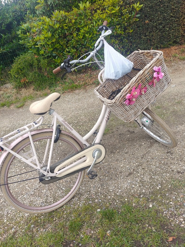 Elektrische fiets!, Fietsen en Brommers, Ophalen, Gebruikt, 50 km per accu of meer, Batavus