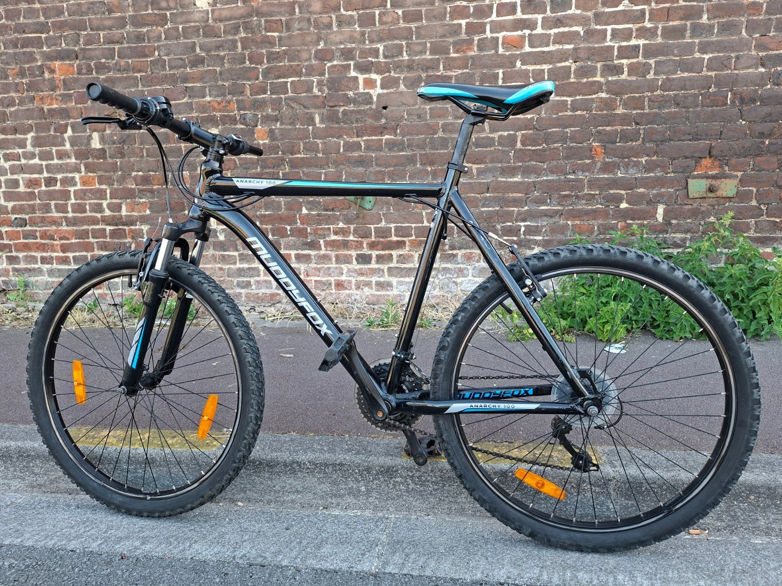 MTB Muddyfox Anarchy 100, Enlèvement