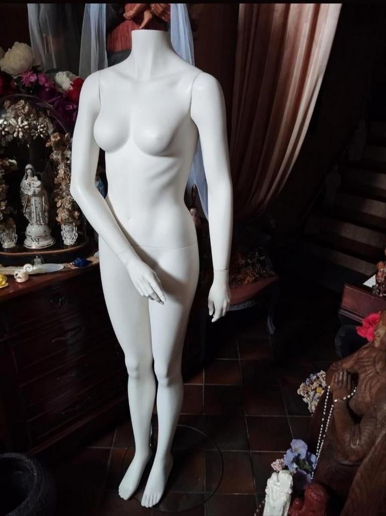 Présentoir euro démontable de la marque de mannequins avec b, Enlèvement, Mannequin