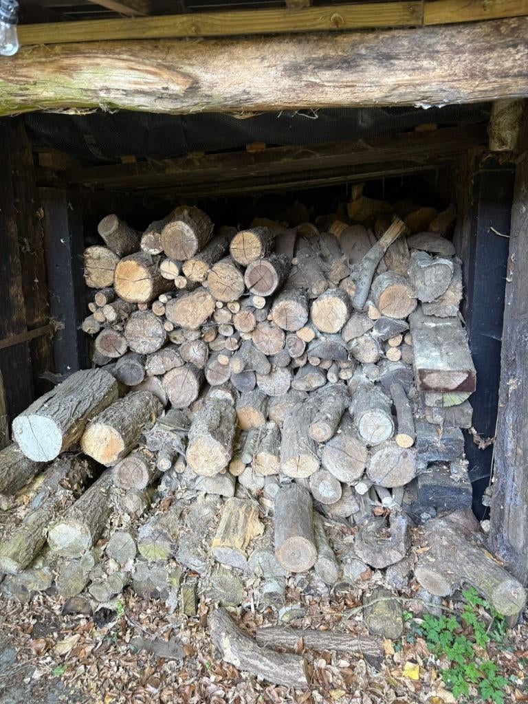Partij brandhout, Tuin en Terras, Brandhout, 6 m³ of meer, Ophalen, Overige houtsoorten, Blokken
