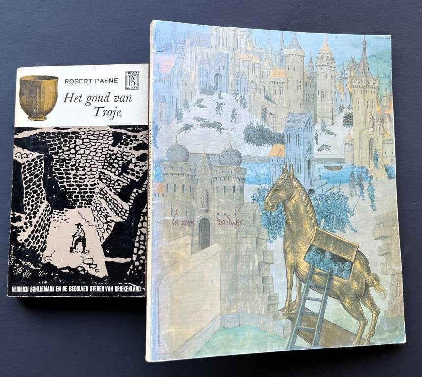 “Troje, legende en realiteit”  +  “Het goud van Troje”, Boeken, Geschiedenis | Wereld, Ophalen of Verzenden