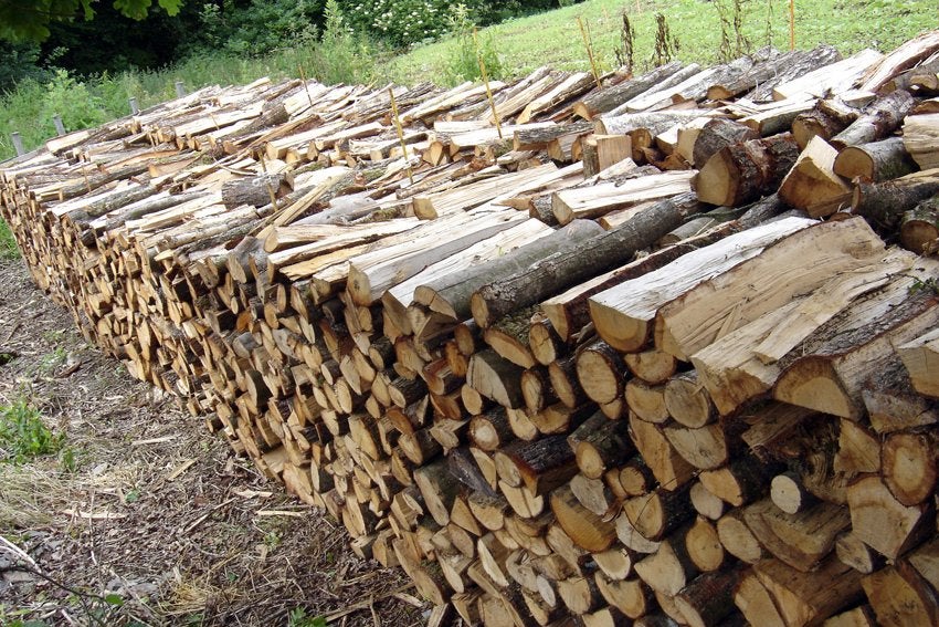 ! Bois de chauffage sec !, Enlèvement, Comme neuf
