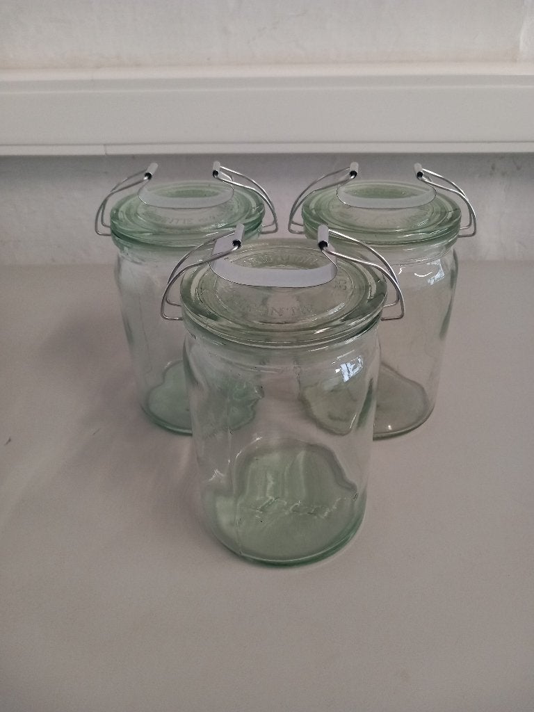 Bocaux en verre avec couvercle (conserves, batch cooking), Enlèvement, Comme neuf, Verre