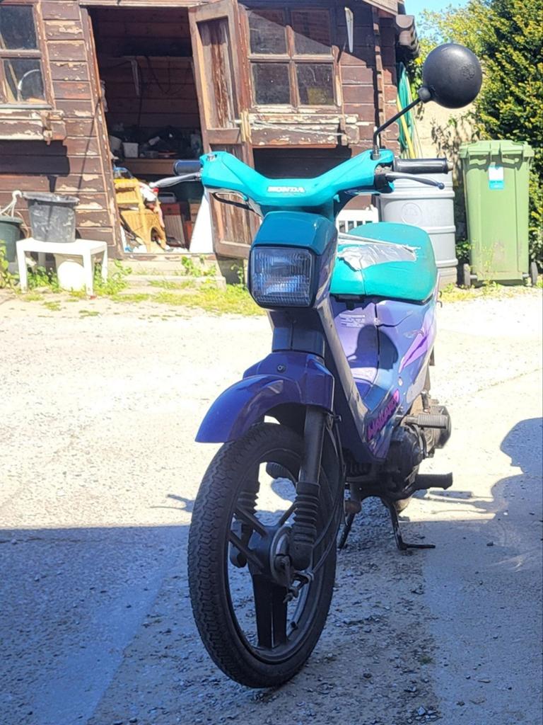 Honda wallaroo, Enlèvement, Honda