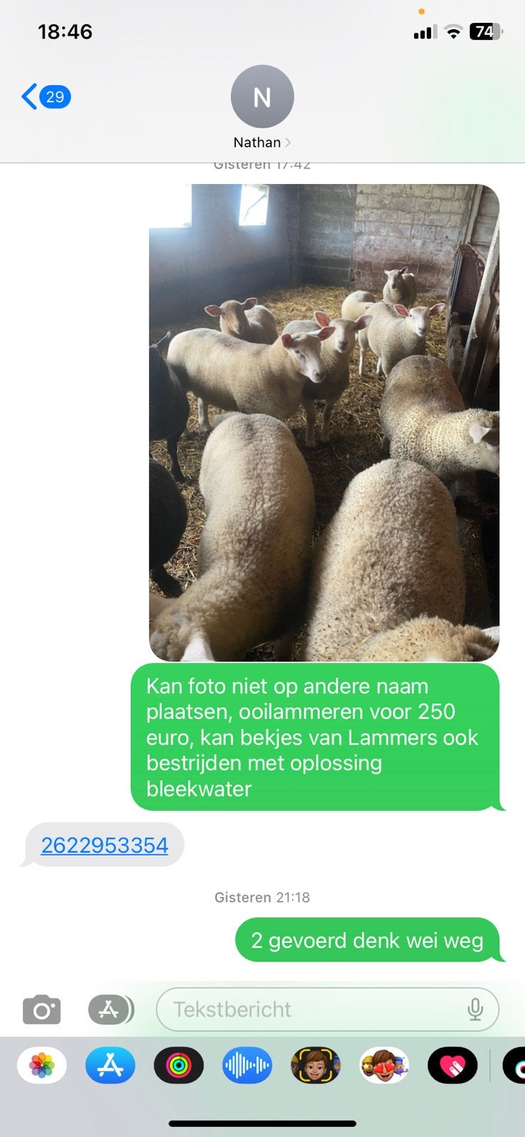 Lammeren, Dieren en Toebehoren, Schapen, Geiten en Varkens