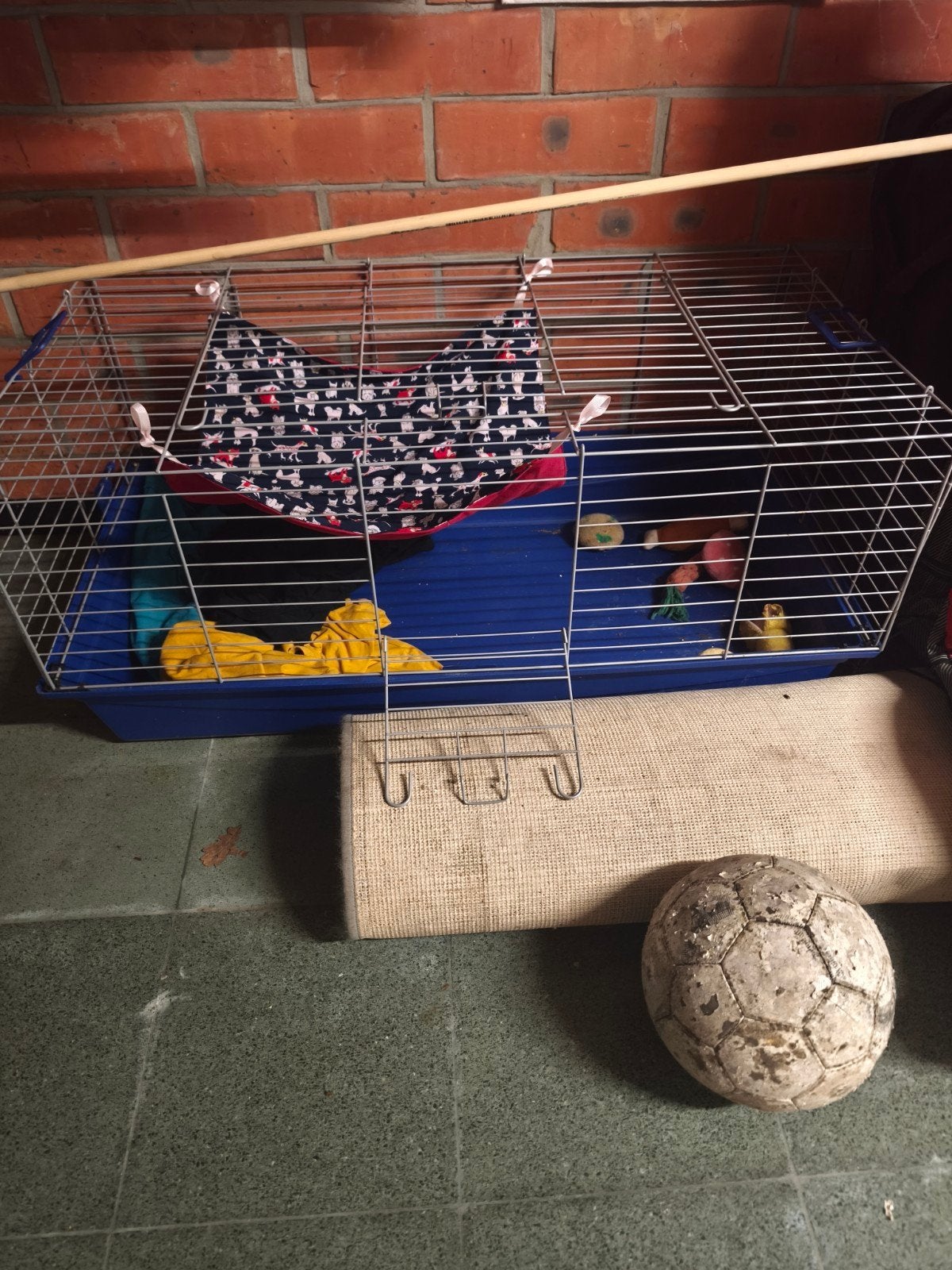 kooi met hangmat, Dieren en Toebehoren, Kooi, Cavia, Zo goed als nieuw, 75 tot 110 cm
