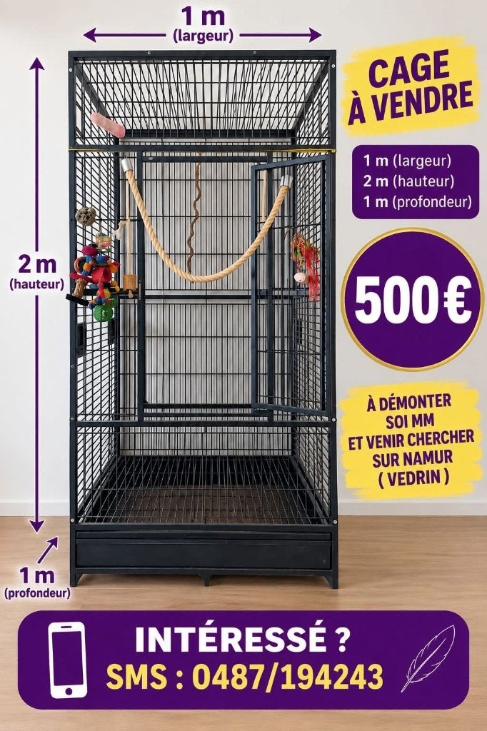 Cage pour grand perroquet noire xxl pour ara, Dieren en Toebehoren, Ophalen, Gebruikt