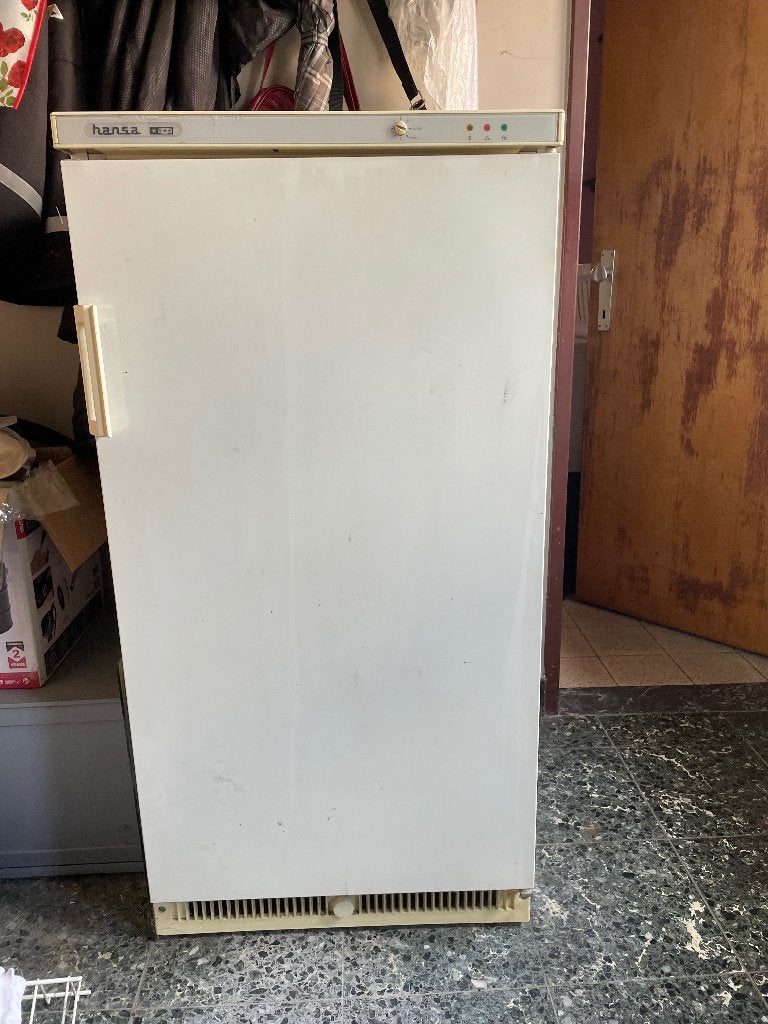 Diepvries 195 l, Electroménager, Congélateurs, Enlèvement, Utilisé, Autoportant, Congélateur