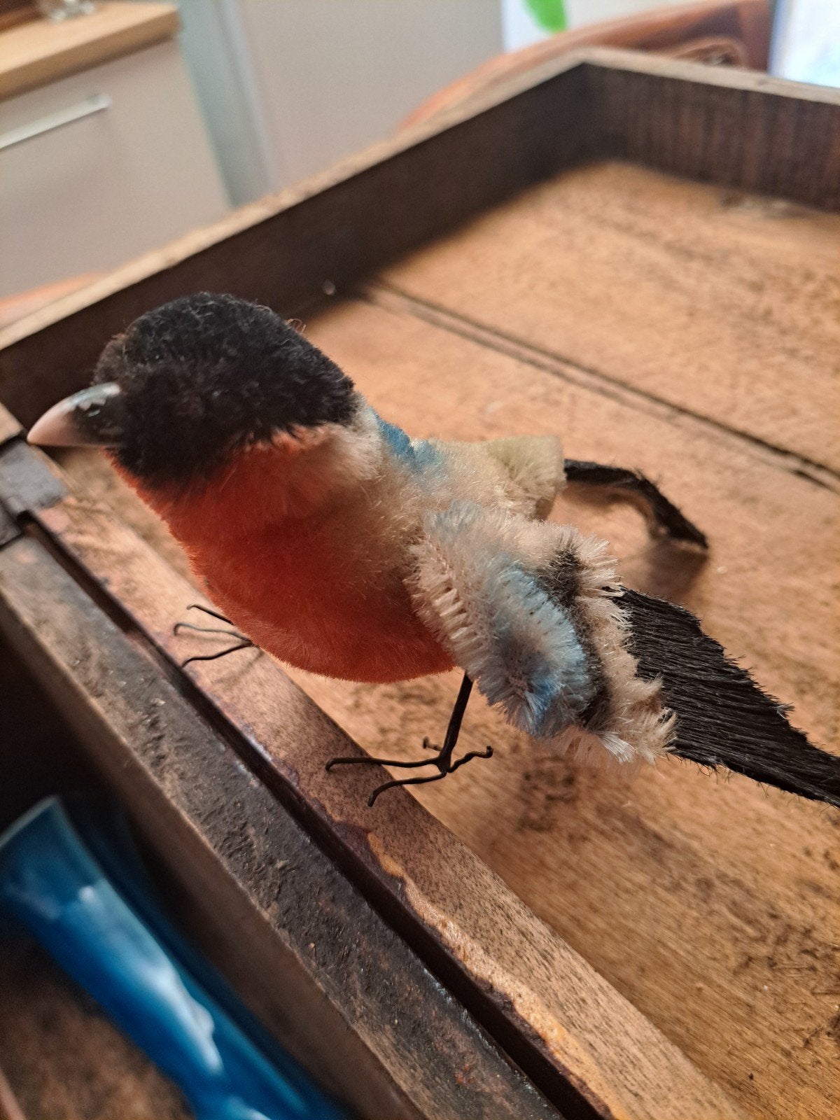 peluche, Enlèvement ou Envoi