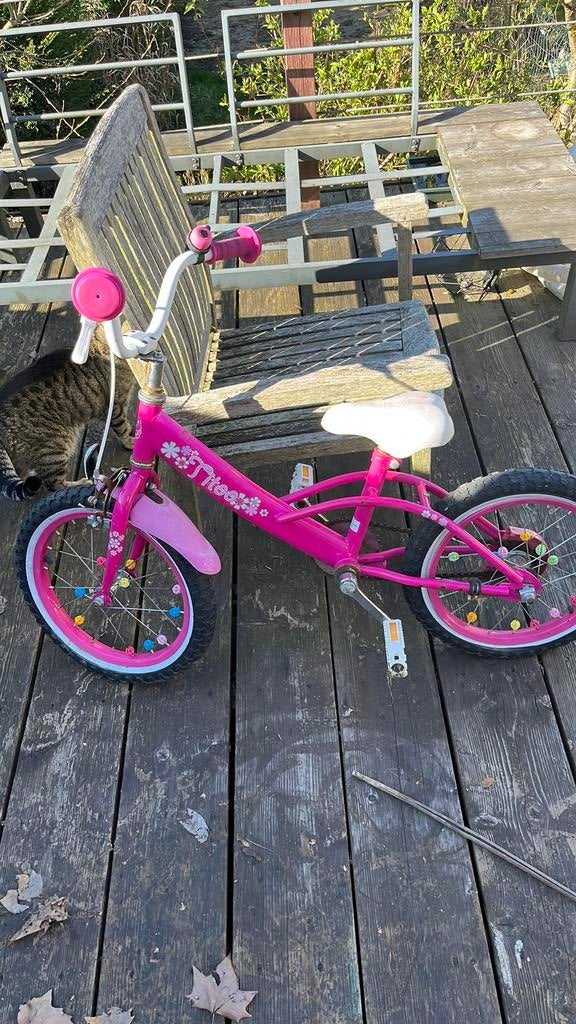 !!! A donner velo enfant, Enlèvement
