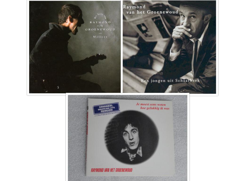 Raymond van het Groenewoud - Cd's, Cd's en Dvd's, Cd's | Nederlandstalig, Ophalen of Verzenden