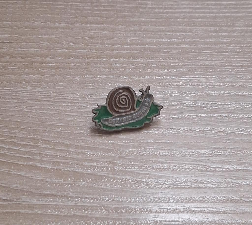 PIN - BERTRIC BUREE - FRANCE - FRANKRIJK - SLAK - ESCARGOT, Collections, Envoi, Utilisé, Ville ou Campagne, Insigne ou Pin's