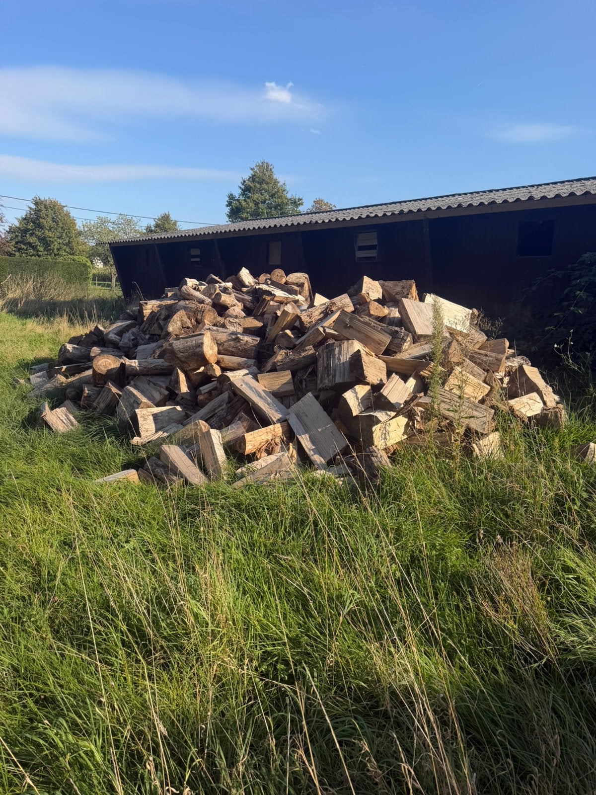 Droog hout te koop, Tuin en Terras, Ophalen of Verzenden, Blokken