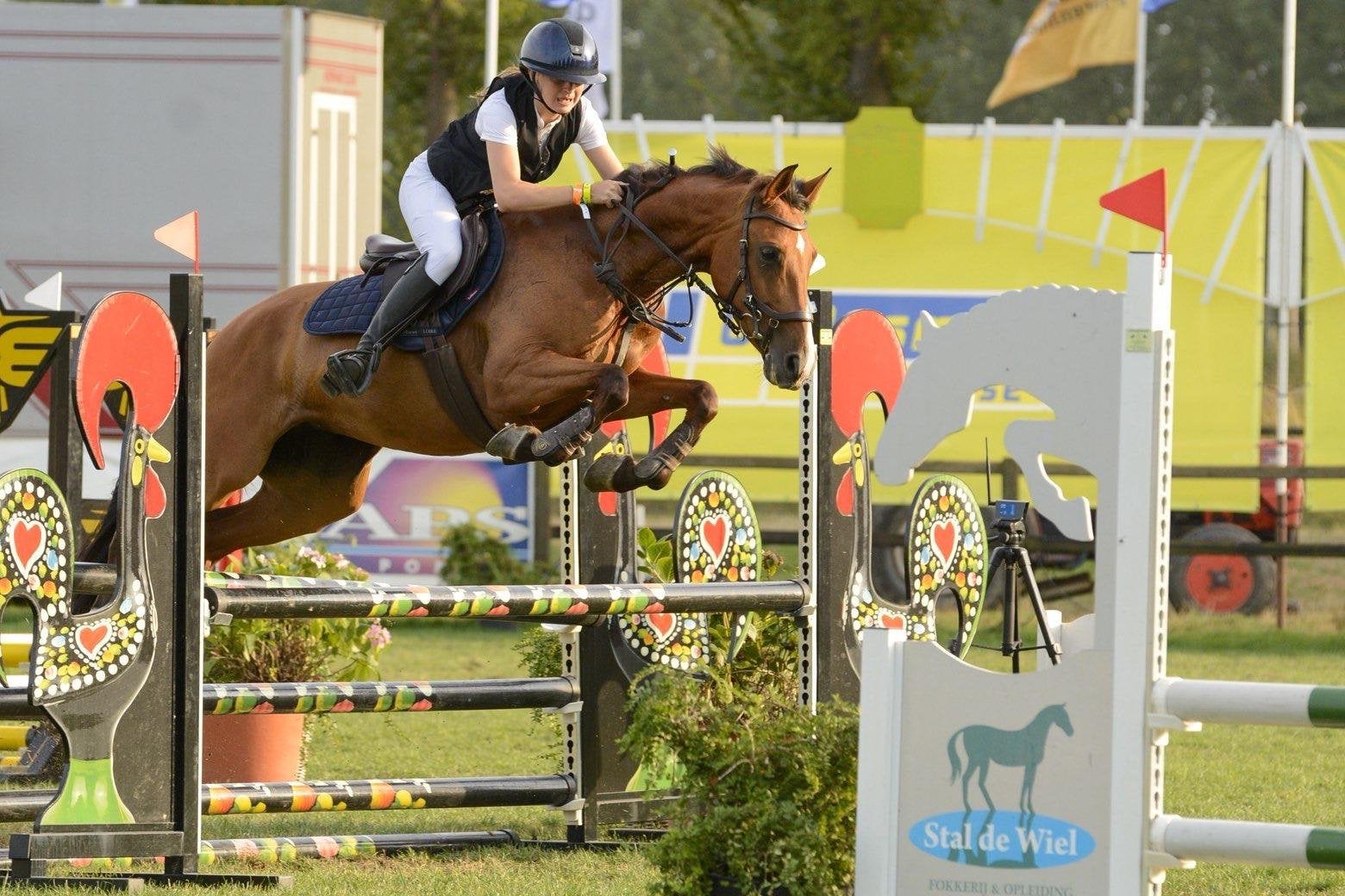 Lieve sport/spring D-pony, Dieren en Toebehoren, M, Springpony, 7 tot 10 jaar, D pony (1.37m tot 1.48m)