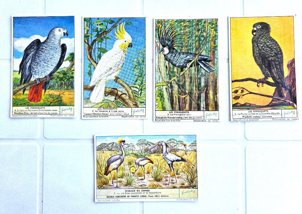 Images Liebig - Perroquets et Oiseaux du Congo (5 pcs), Collections, Enlèvement ou Envoi, Utilisé, Autres types