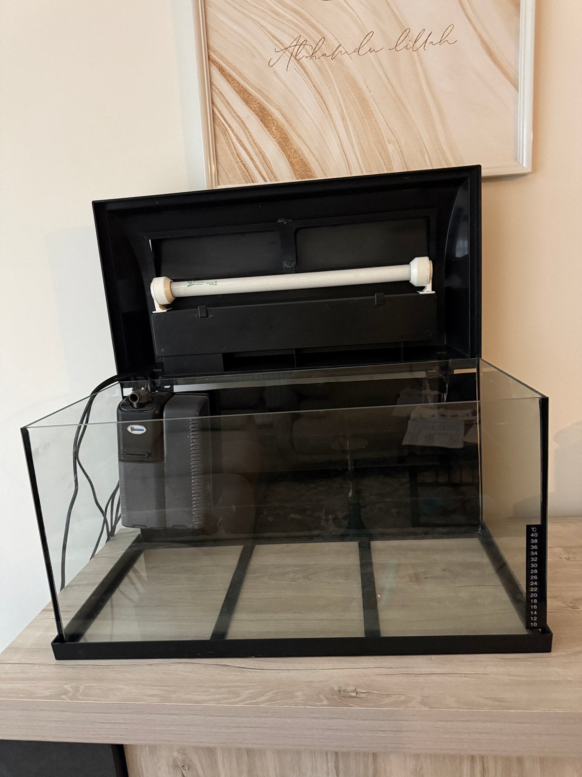 Aquarium, Dieren en Toebehoren, Vis