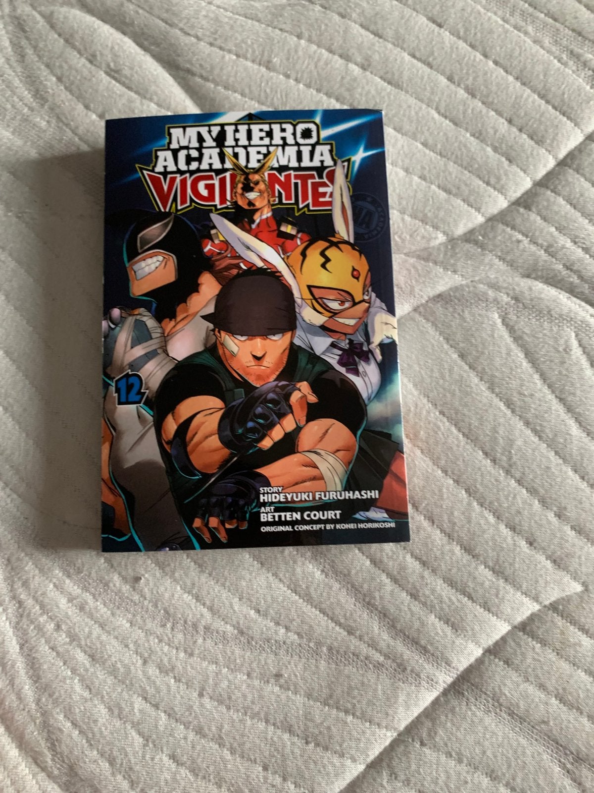 My hero academia viglantes 12, Boeken, Ophalen of Verzenden, Zo goed als nieuw