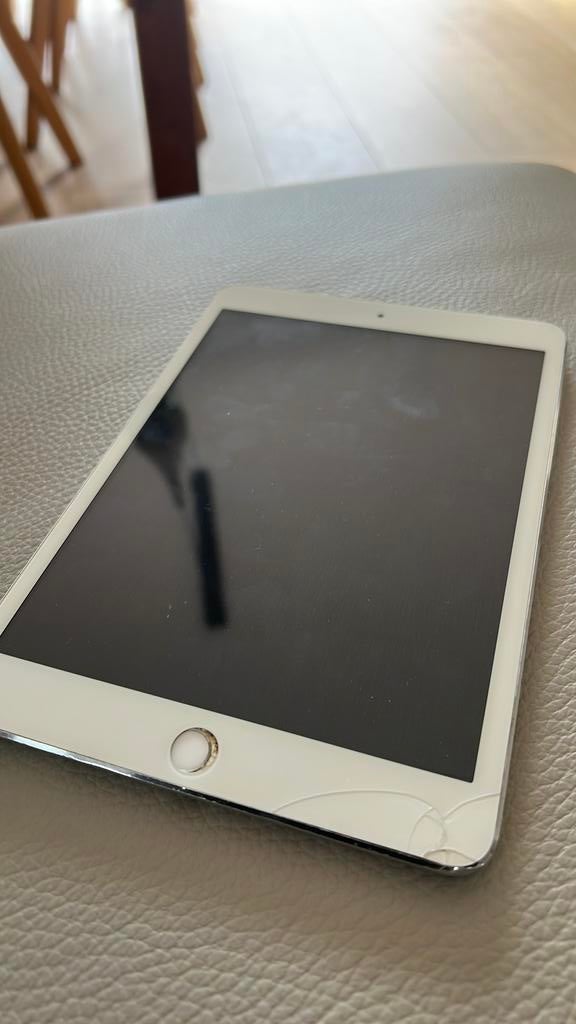 Ipad mini, Computers en Software, Apple iPads, Gebruikt, Apple iPad Mini, Wi-Fi en Mobiel internet, Zilver, Ophalen