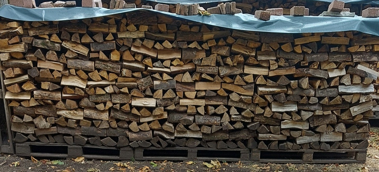 brandhout eik beuk, Ophalen