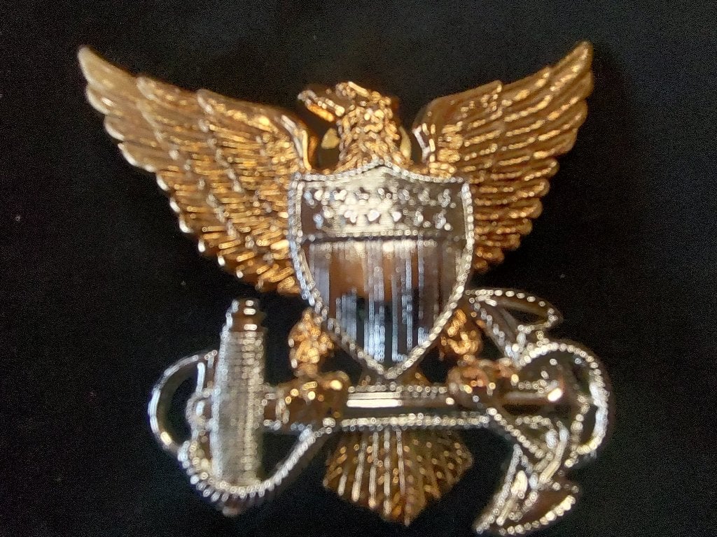 USA badge # 49, Collections, Envoi