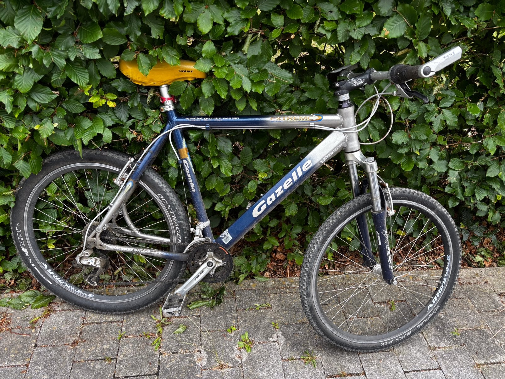 Mountainbike gazelle, Fietsen en Brommers, Fietsen | Mountainbikes en ATB, Ophalen, Gebruikt, Heren, Gazelle