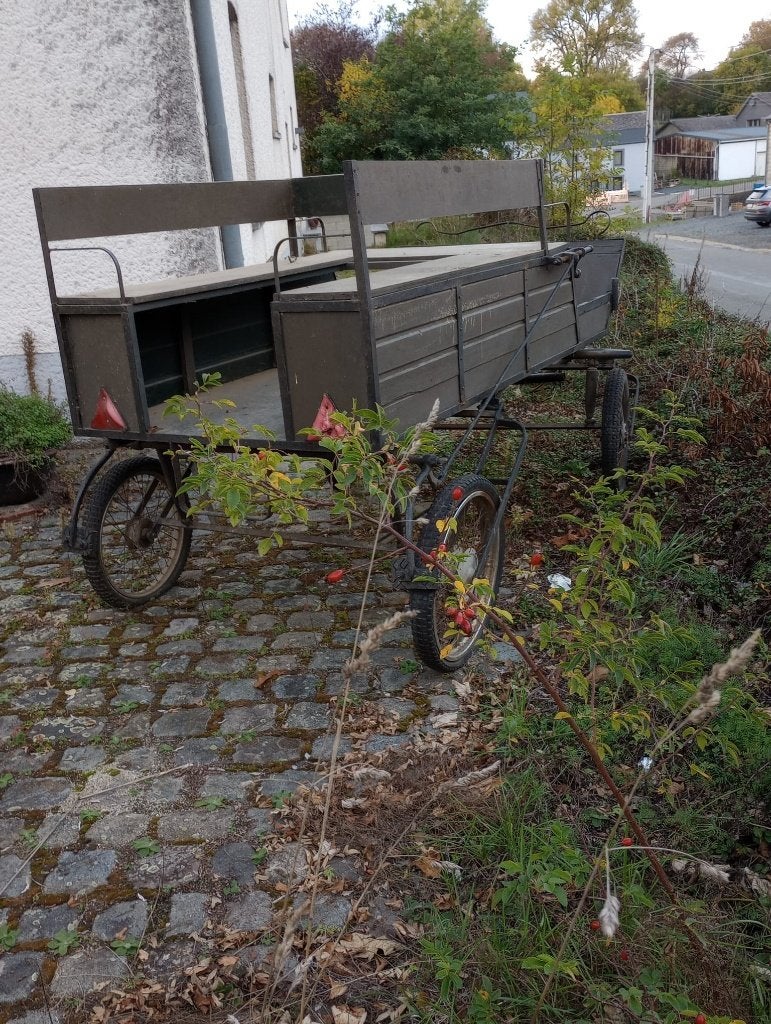 Oude houten koets, Gebruikt, Wagonette, Paard of Pony